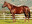 Thoroughbred horse Horse Chestnut side profile